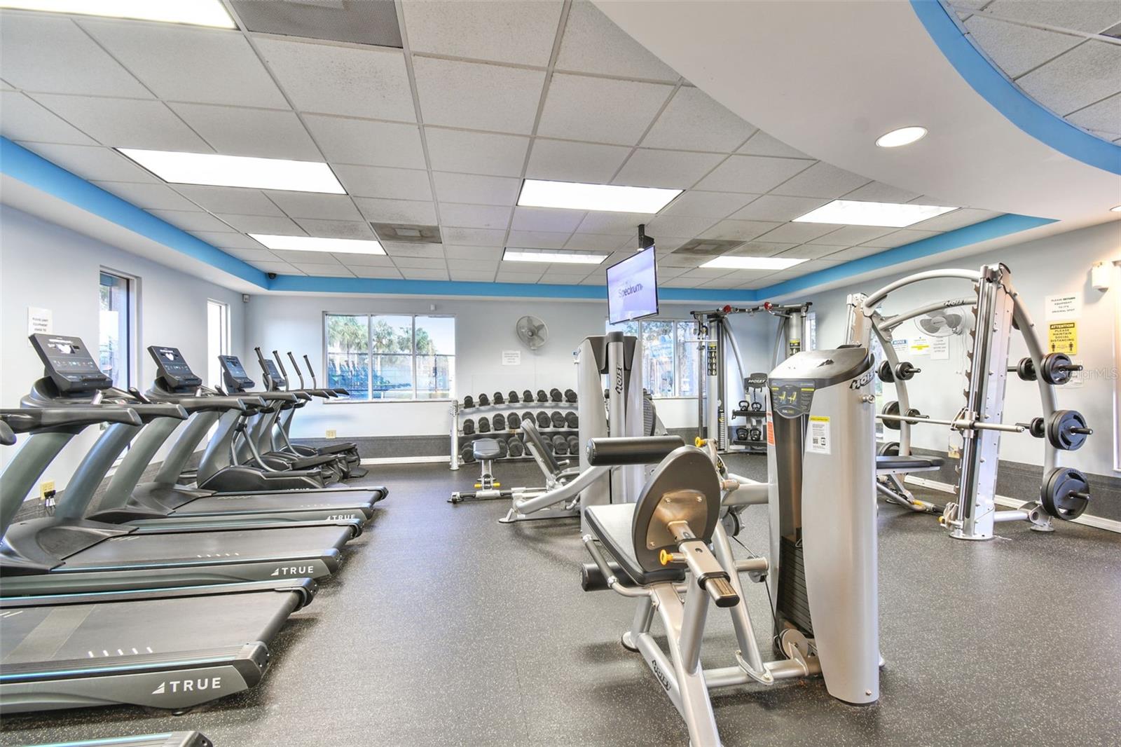 1330 STANDRIDGE DR, WESLEY CHAPEL, FL, 33543