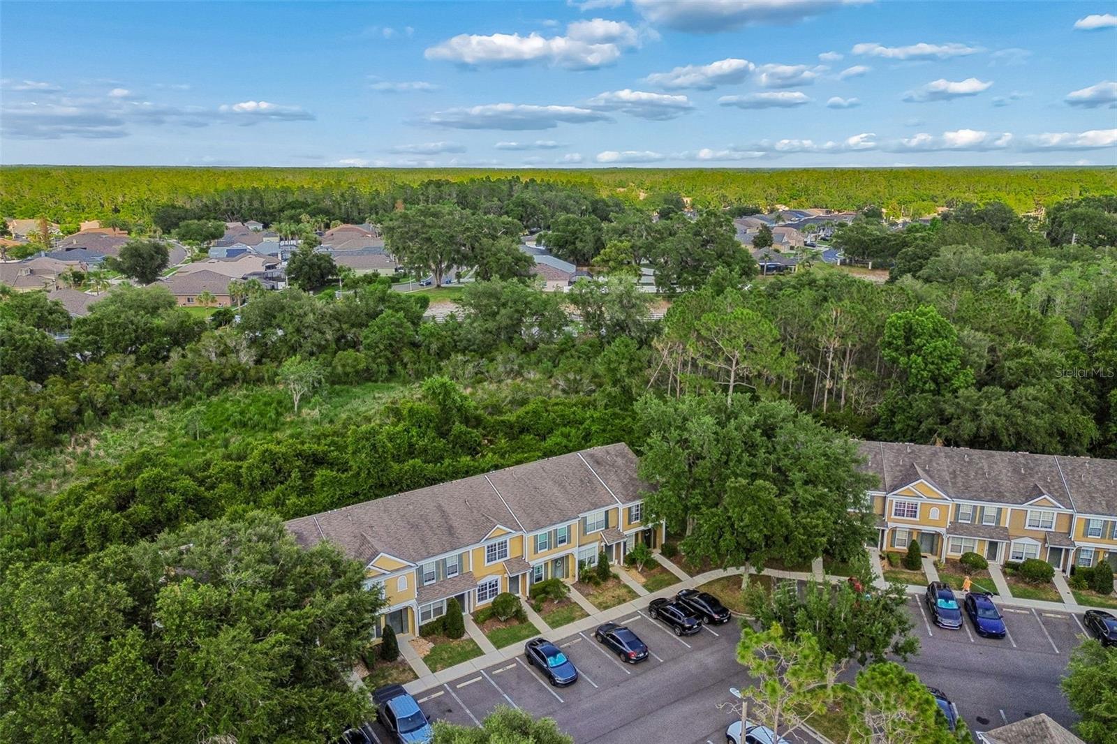 1330 STANDRIDGE DR, WESLEY CHAPEL, FL, 33543