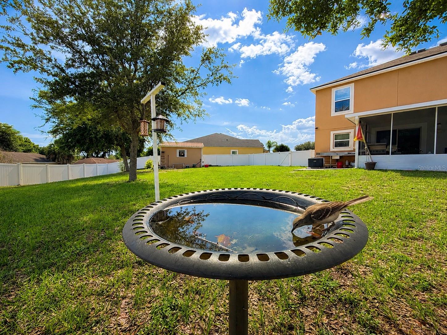 1852 PIEDMONT CT, MASCOTTE, FL, 34753