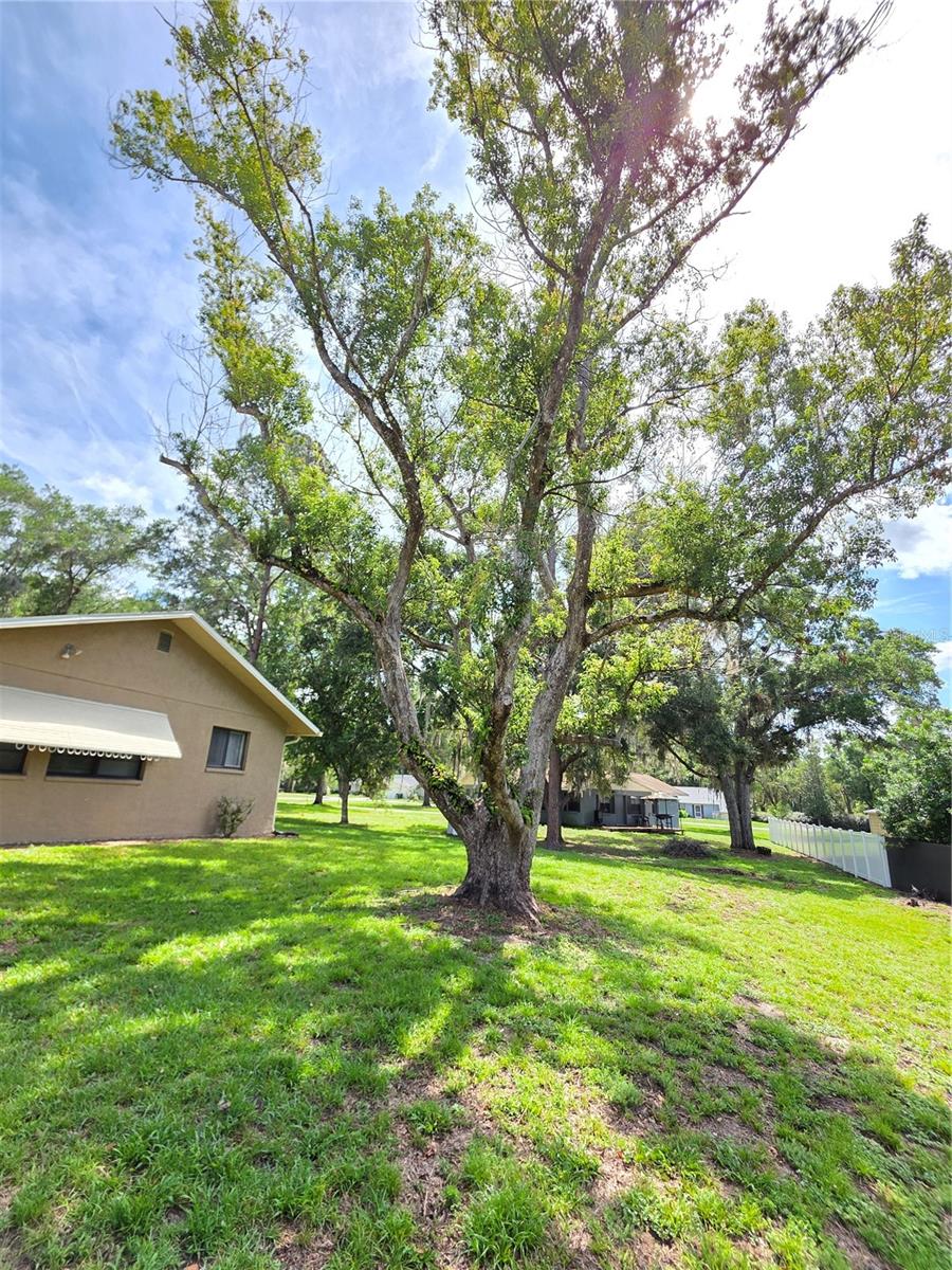 24088 EPPLEY DR, BROOKSVILLE, FL, 34601