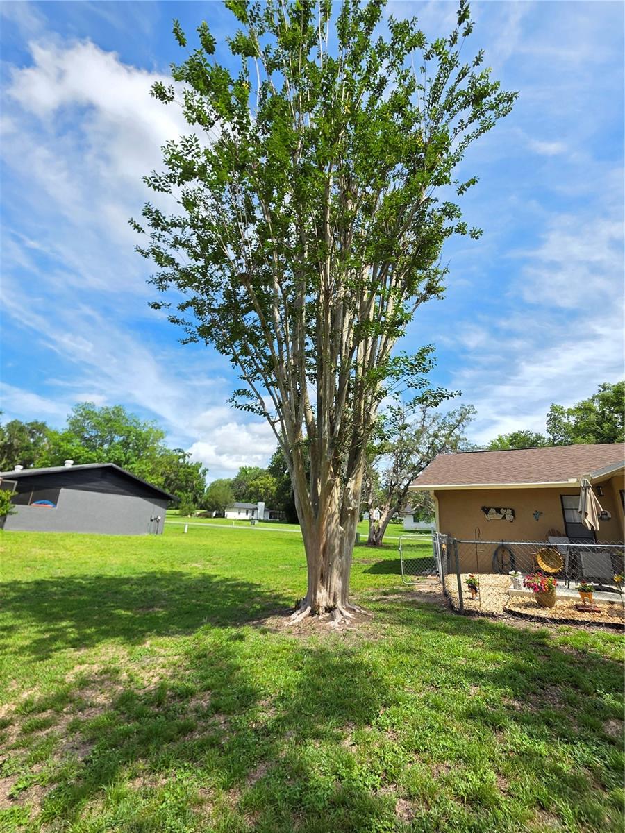 24088 EPPLEY DR, BROOKSVILLE, FL, 34601