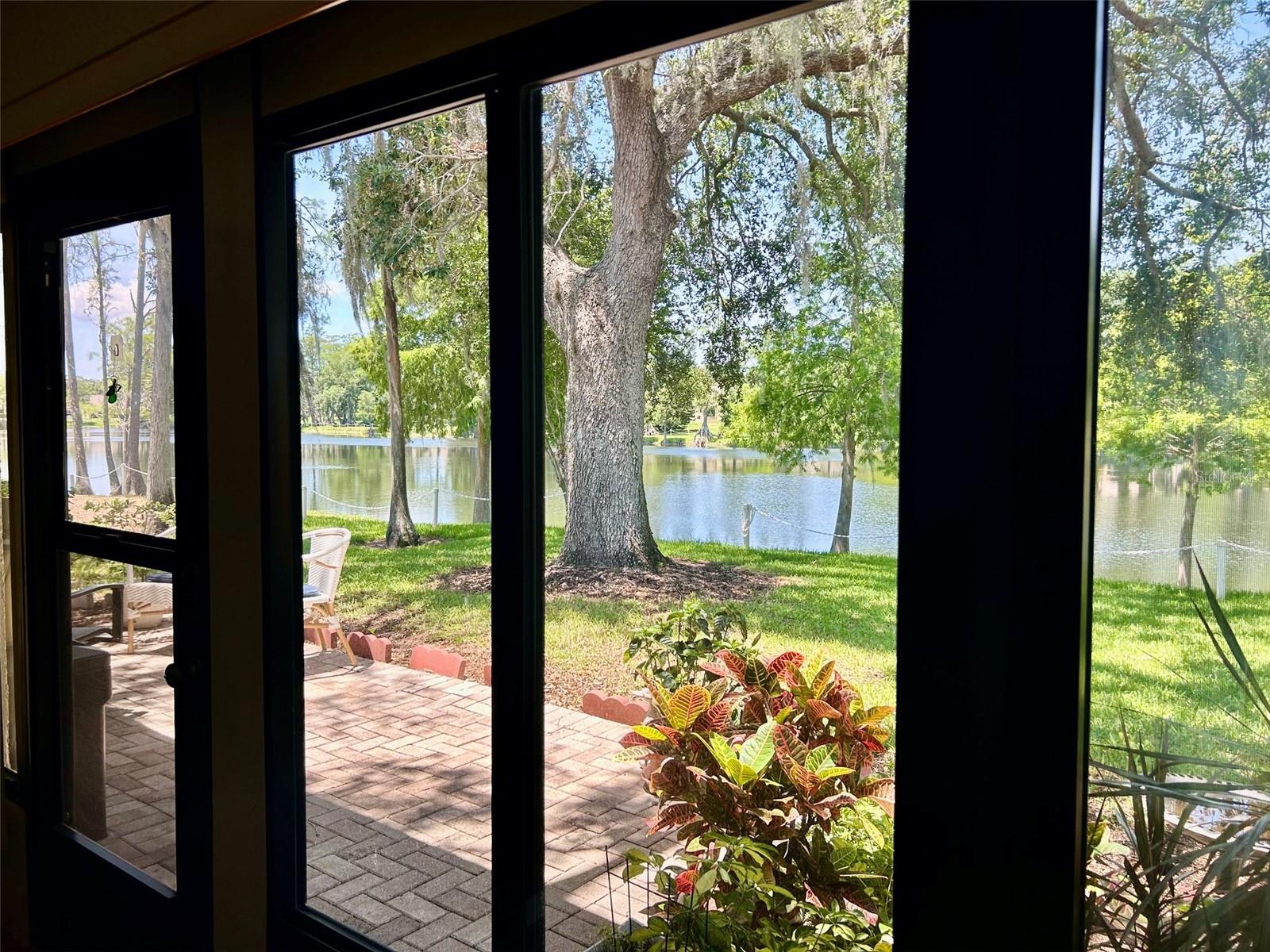 2572 LAURELWOOD DR #12A, CLEARWATER, FL, 33763