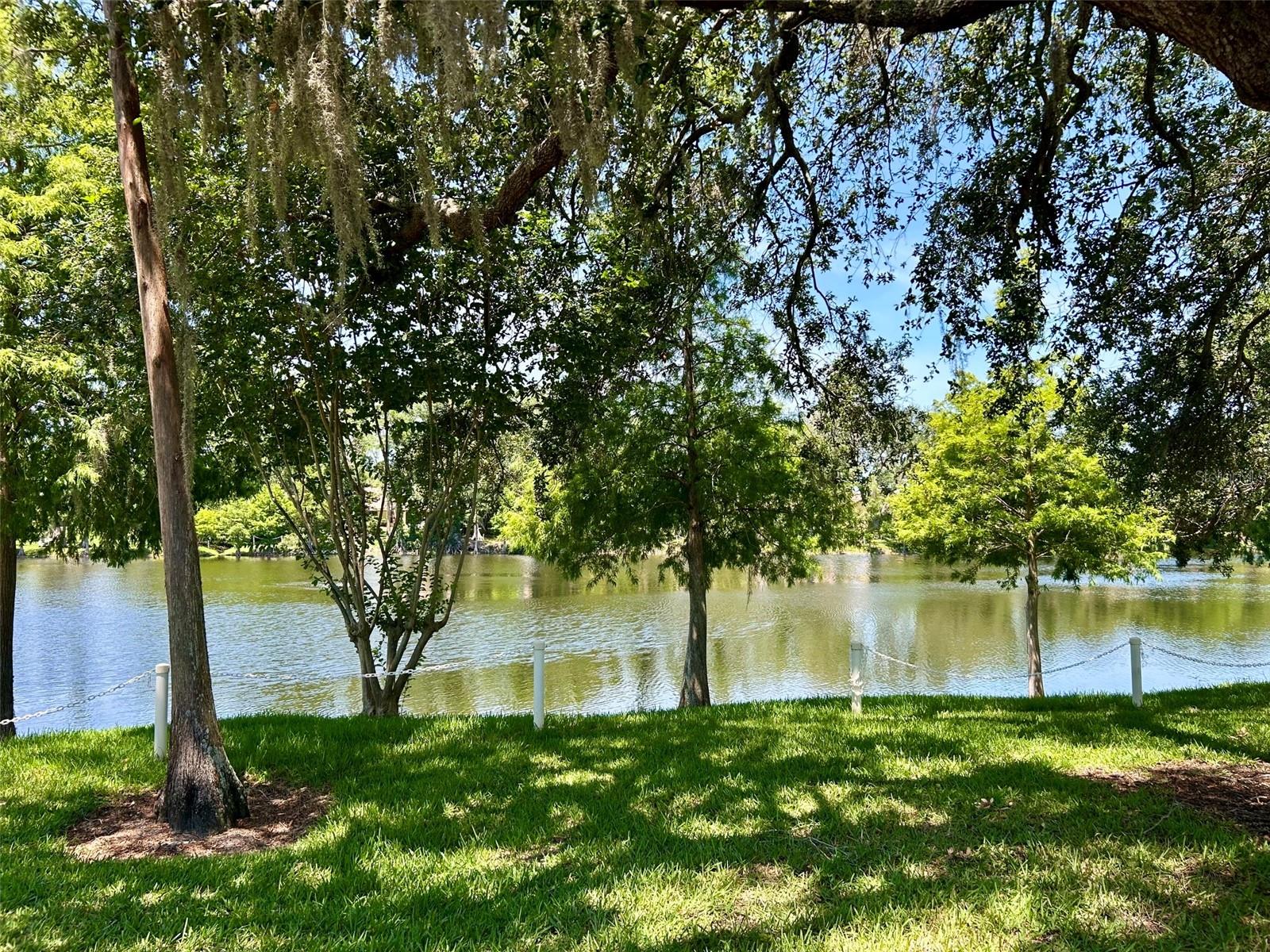 2572 LAURELWOOD DR #12A, CLEARWATER, FL, 33763