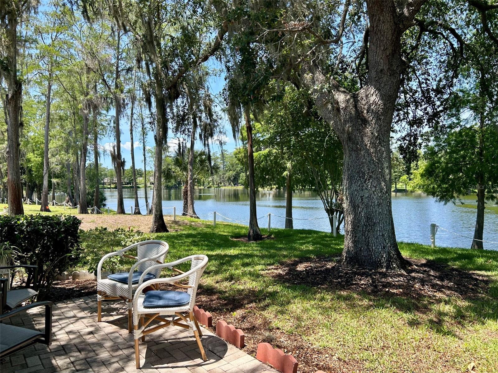 2572 LAURELWOOD DR #12A, CLEARWATER, FL, 33763