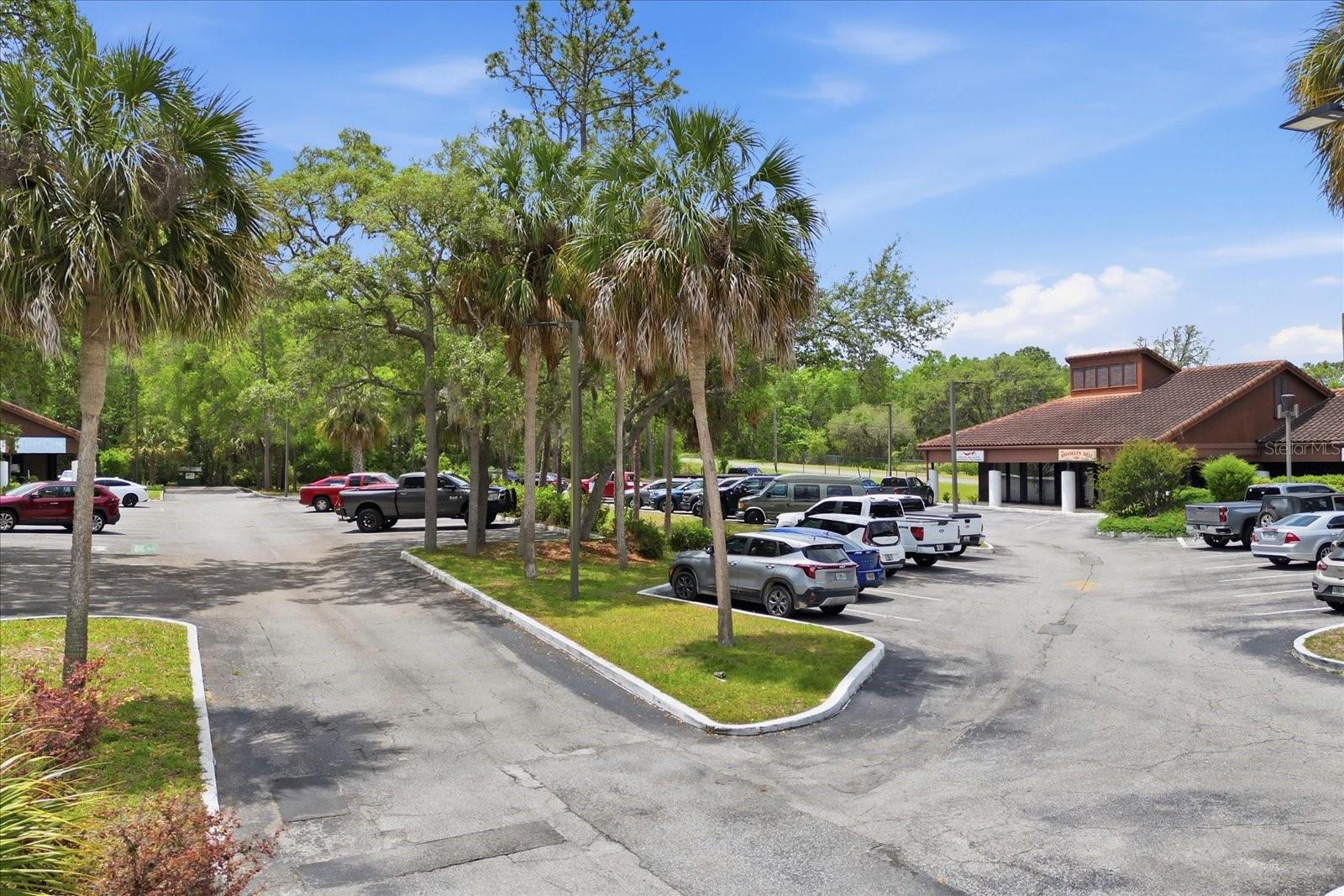 3380 E GULF TO LAKE HWY #17, INVERNESS, FL, 34453
