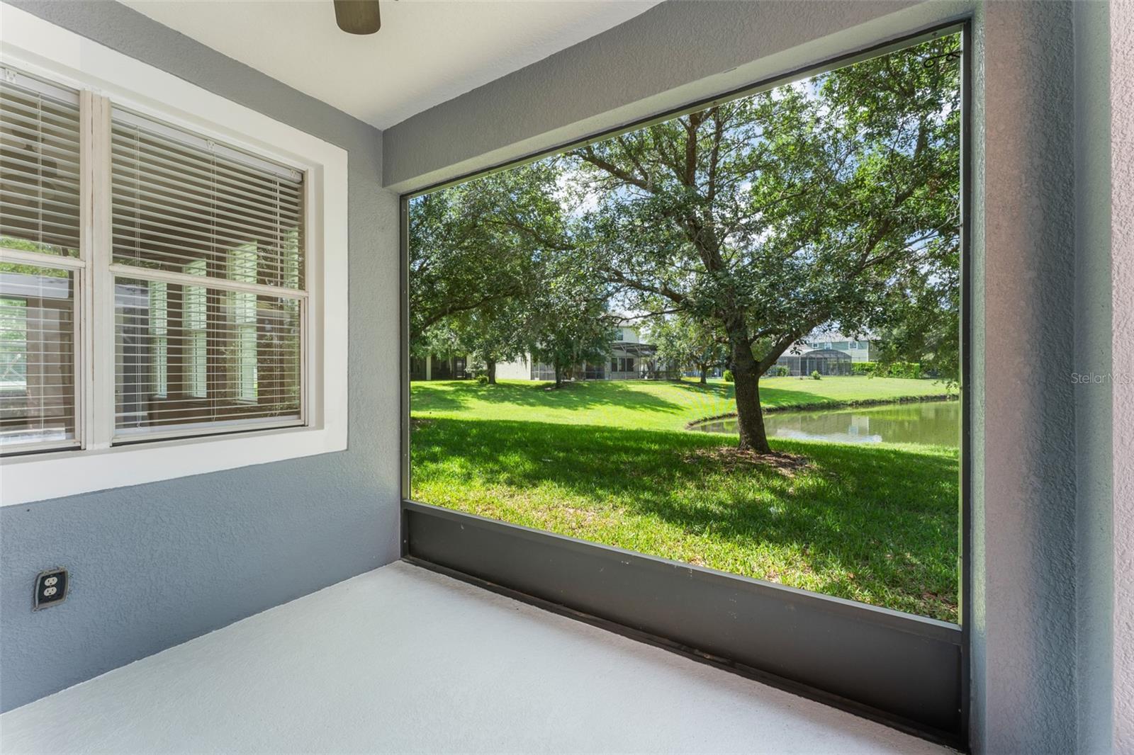 4548 BLUE MAJOR DR, WINDERMERE, FL, 34786