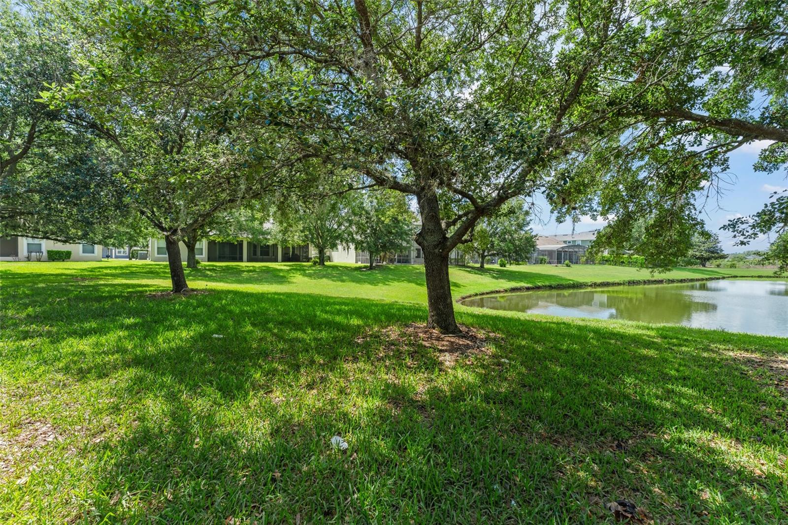 4548 BLUE MAJOR DR, WINDERMERE, FL, 34786
