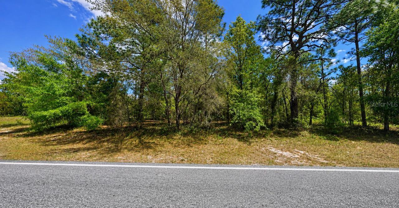 7983 N SANTOS DR, CITRUS SPRINGS, FL, 34434
