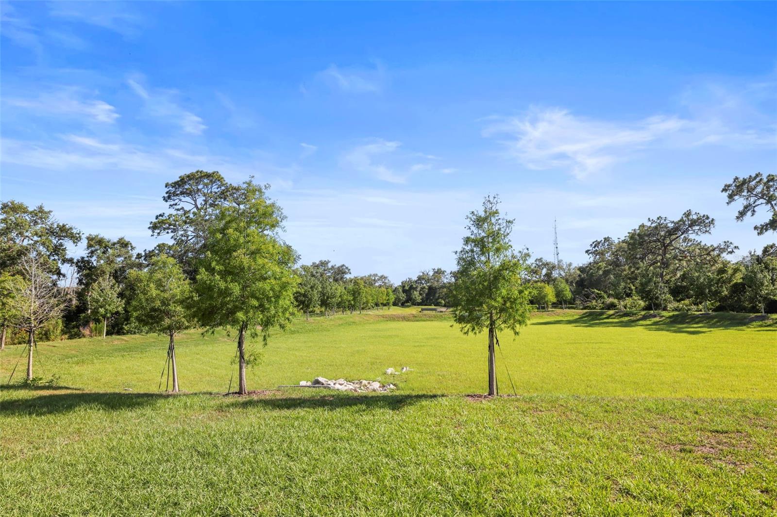 4550 STARGAZER CT, PALM HARBOR, FL, 34683