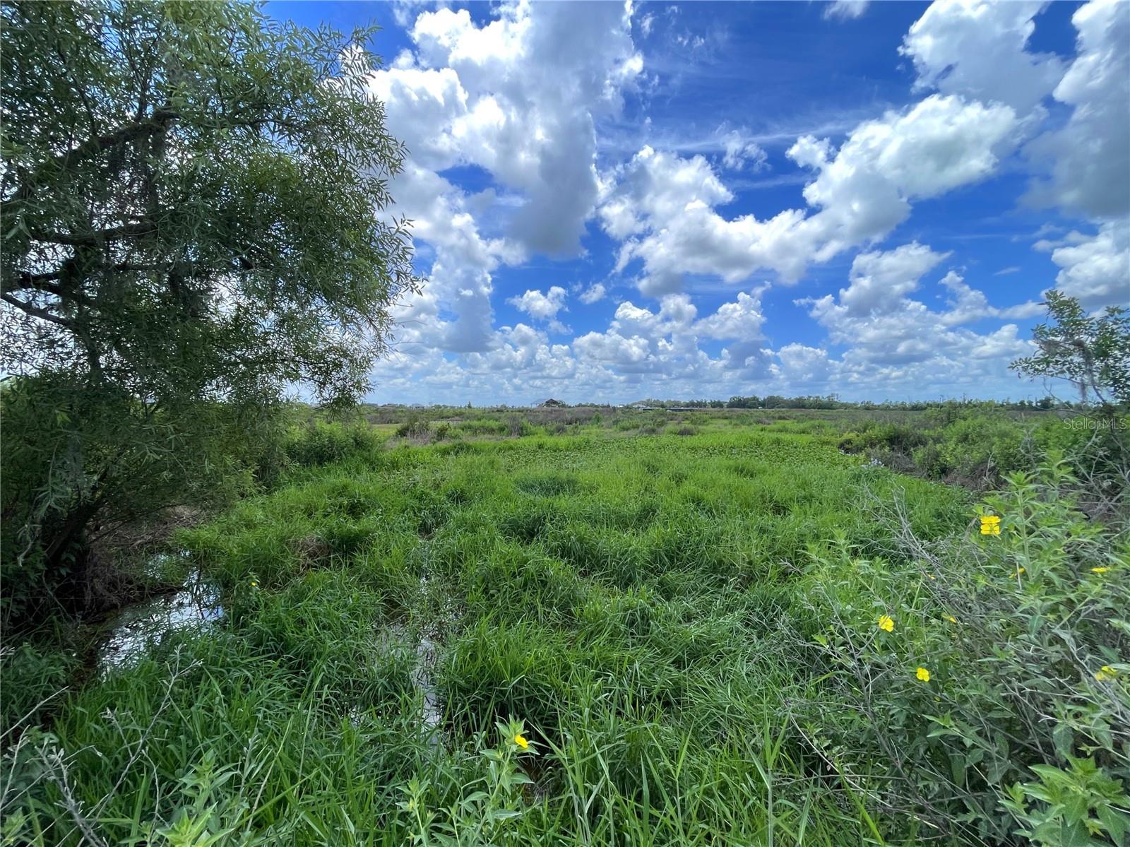 WAUCHULA RD, MYAKKA CITY, FL, 34251