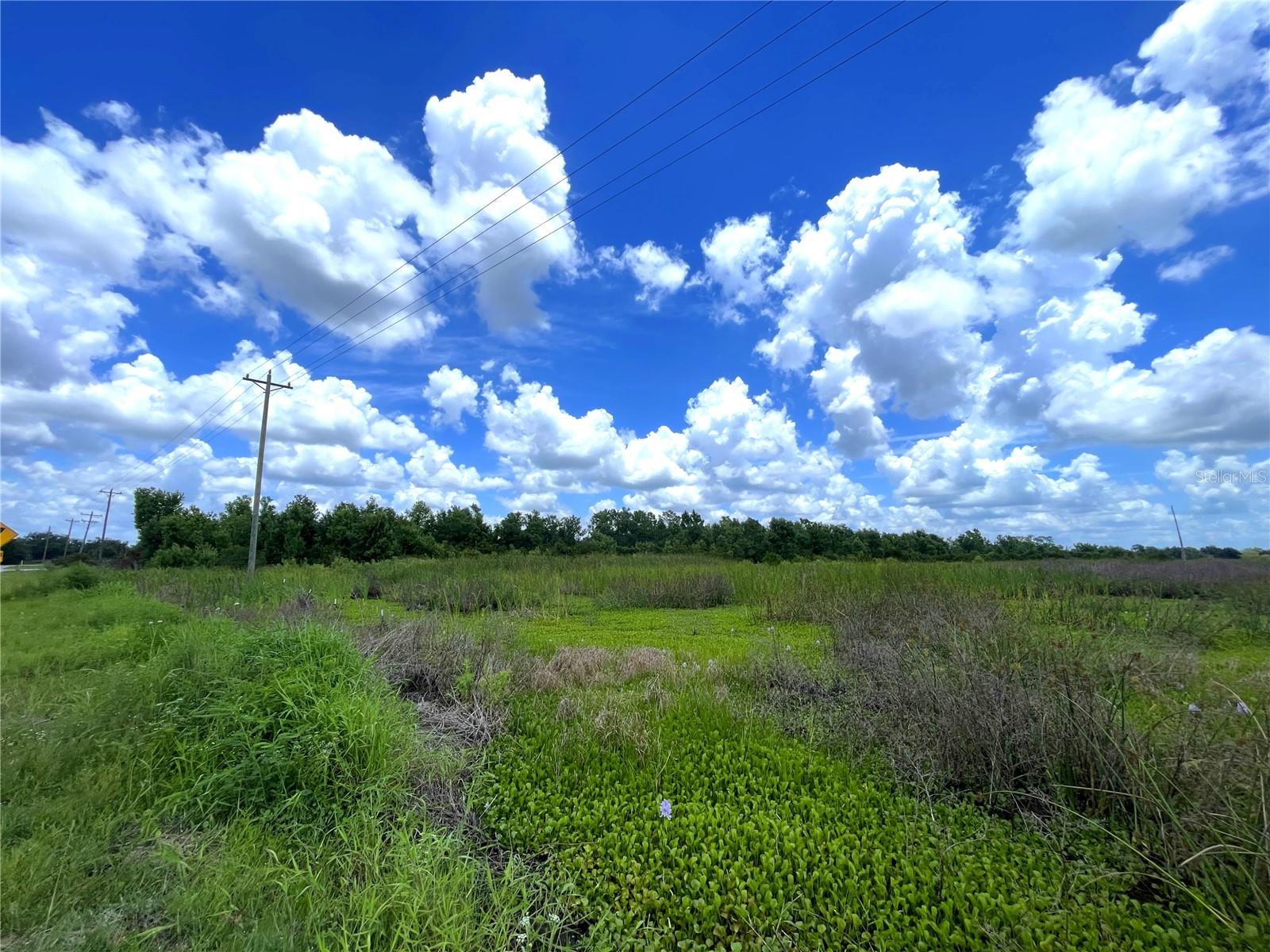 WAUCHULA RD, MYAKKA CITY, FL, 34251