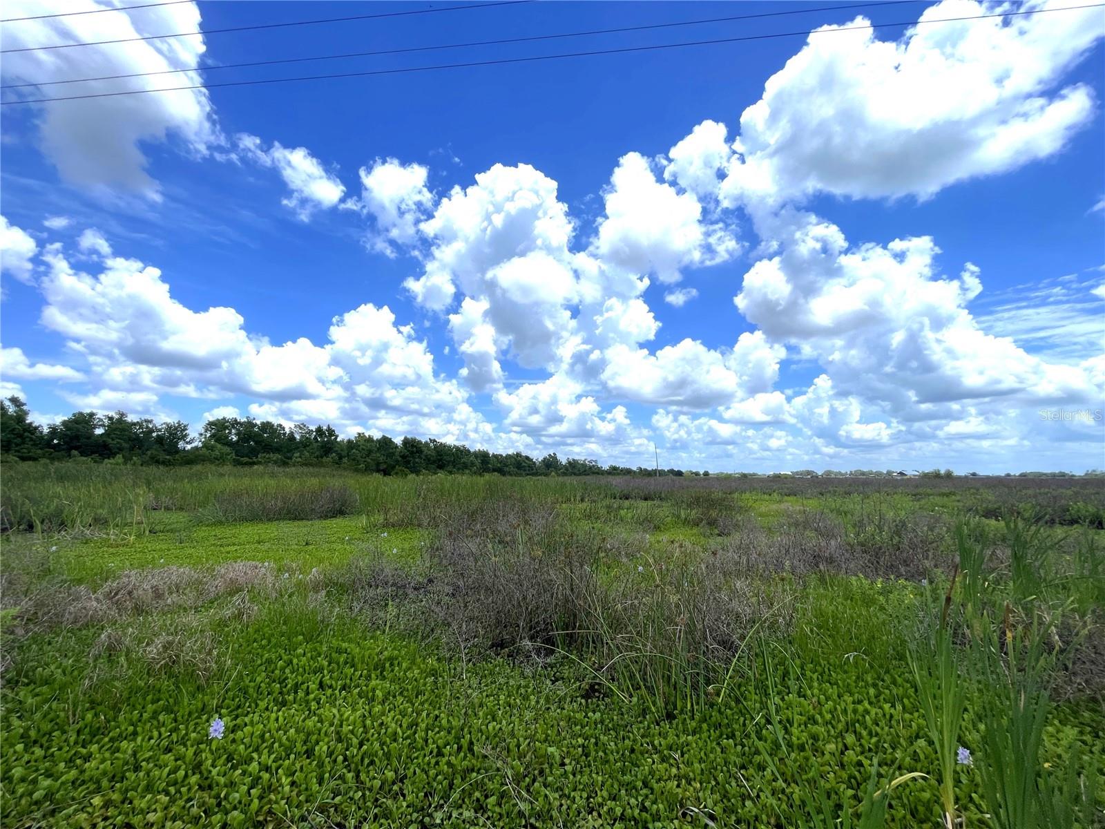 WAUCHULA RD, MYAKKA CITY, FL, 34251