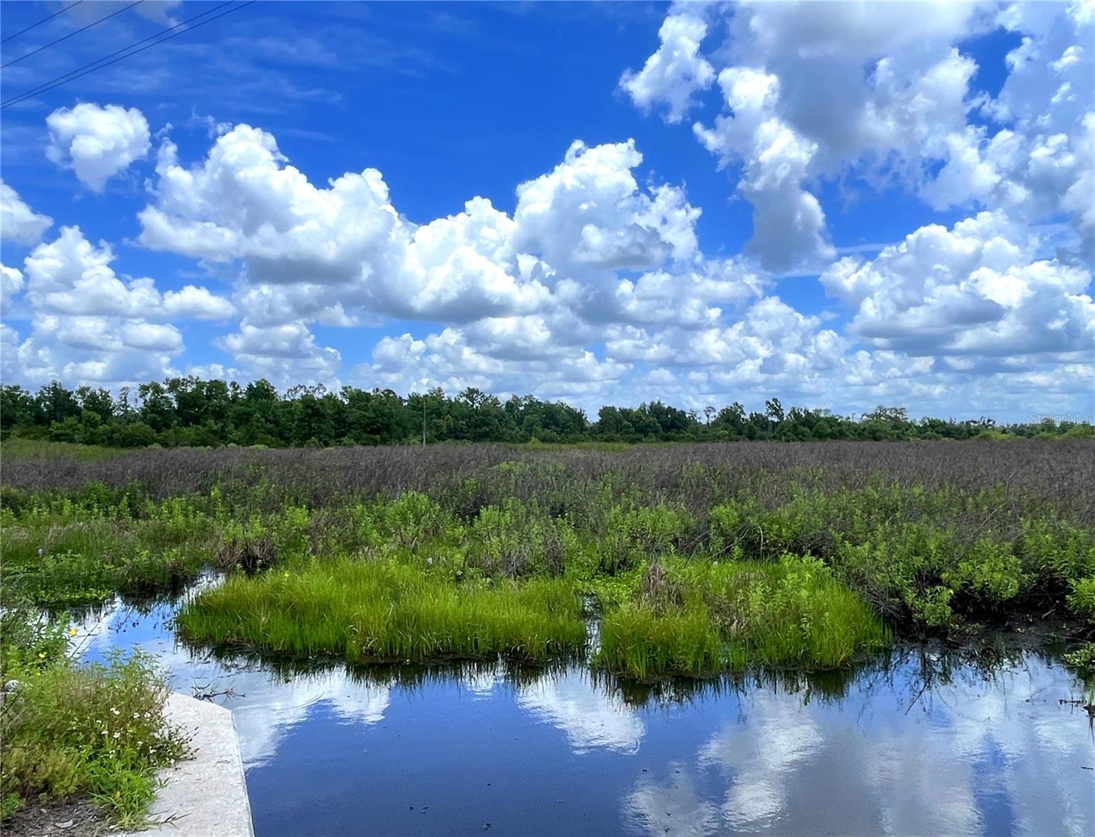WAUCHULA RD, MYAKKA CITY, FL, 34251