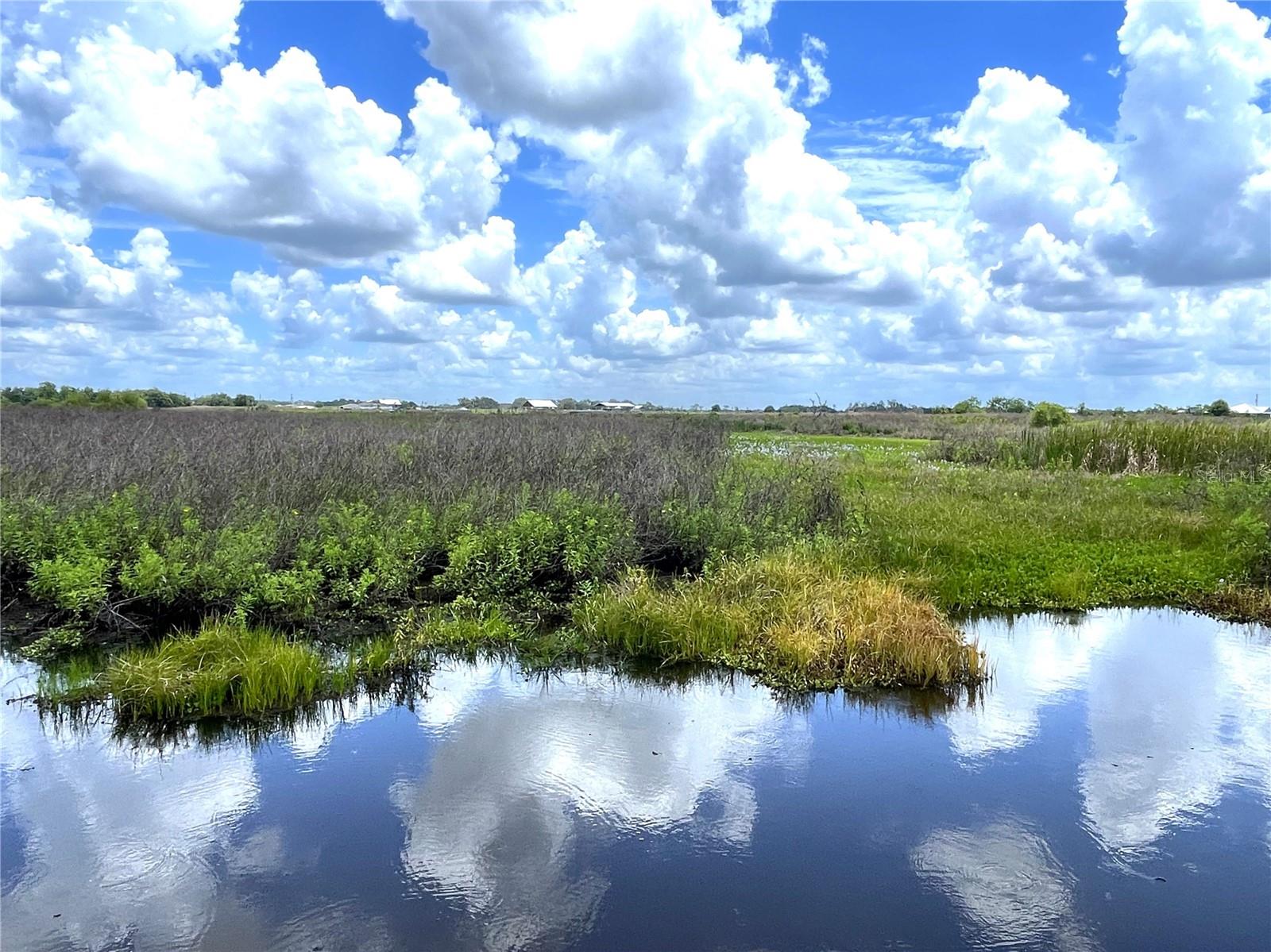WAUCHULA RD, MYAKKA CITY, FL, 34251