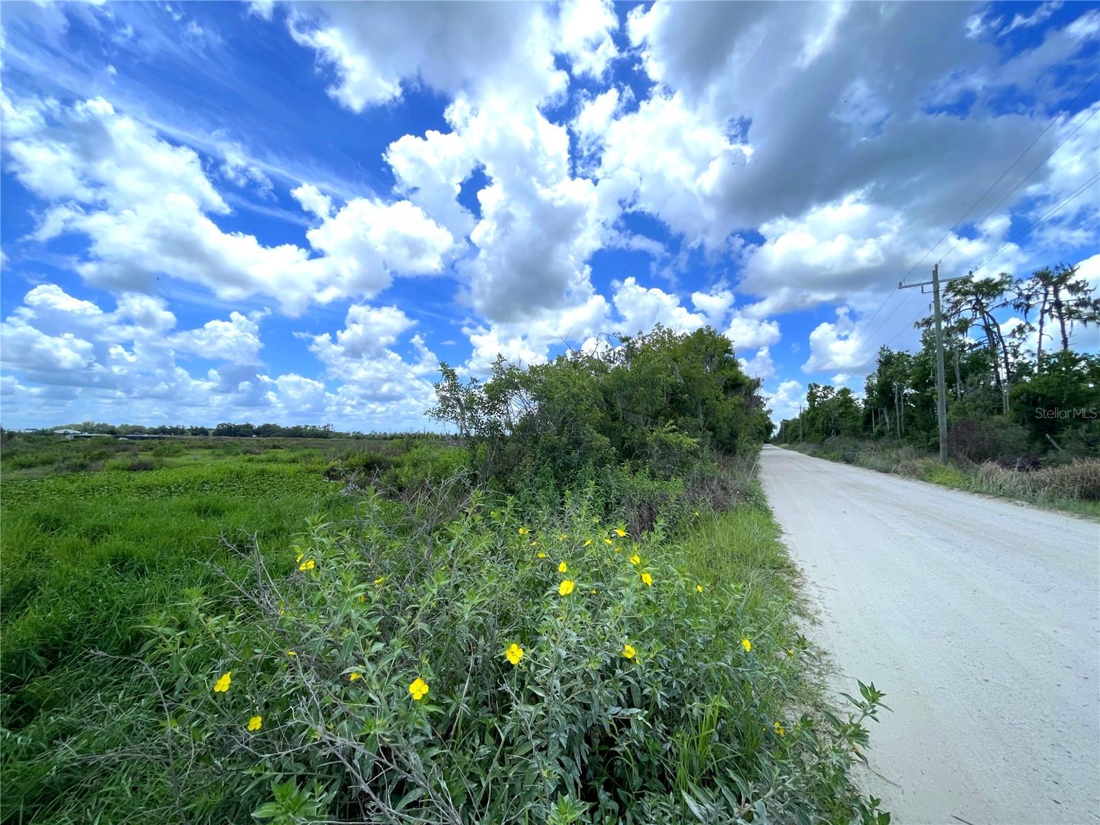 WAUCHULA RD, MYAKKA CITY, FL, 34251