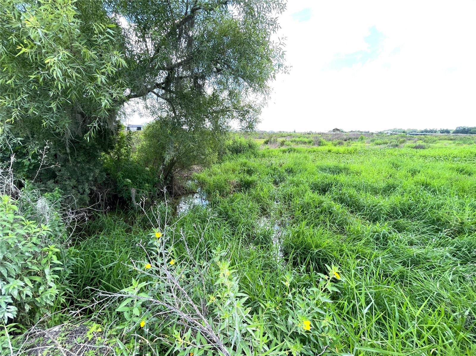 WAUCHULA RD, MYAKKA CITY, FL, 34251