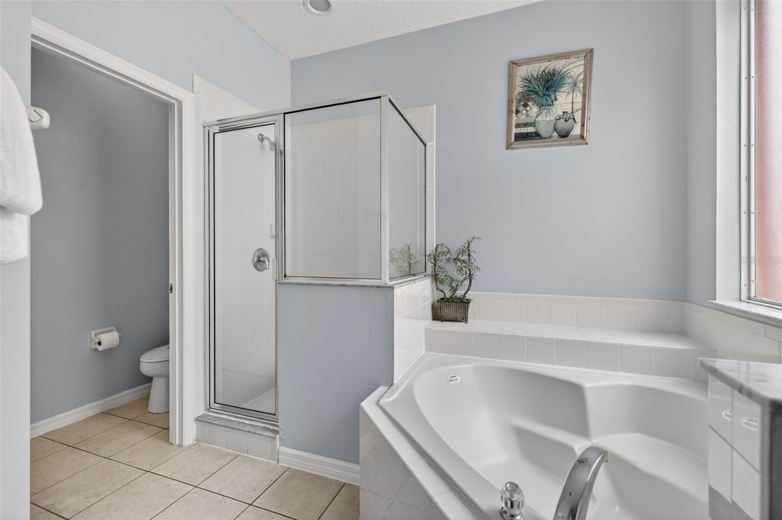 928 SOLANA CIR, DAVENPORT, FL, 33897