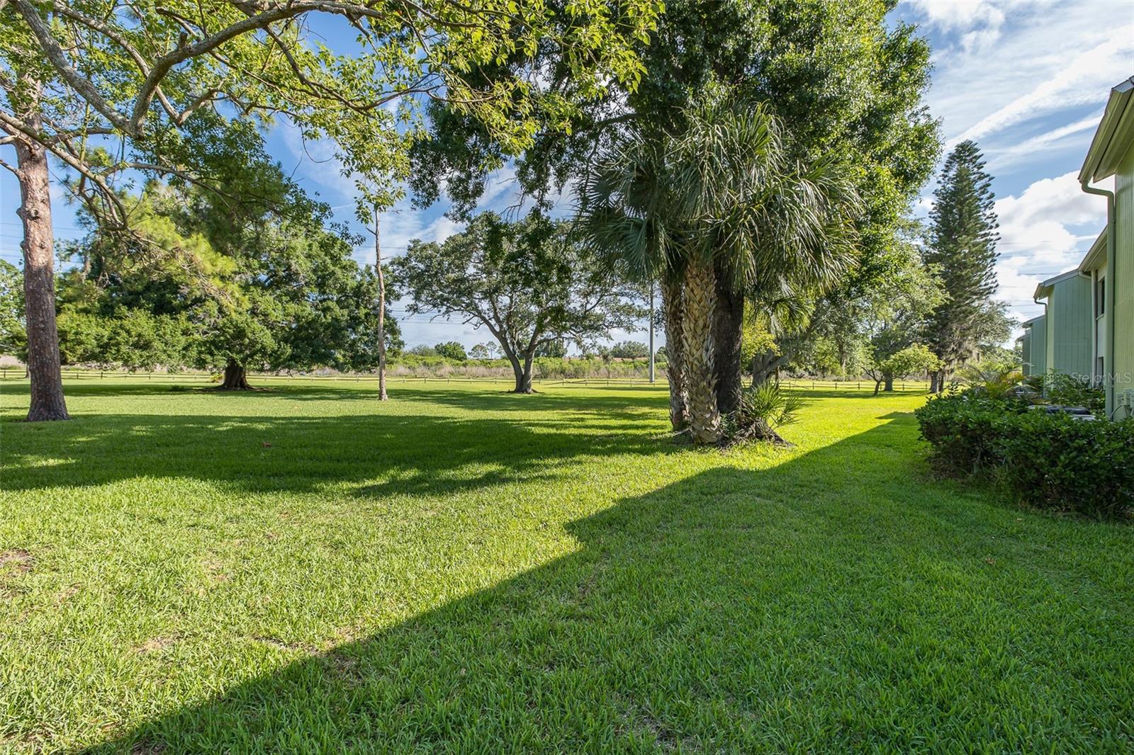 130 NANCY DR #66, OLDSMAR, FL, 34677