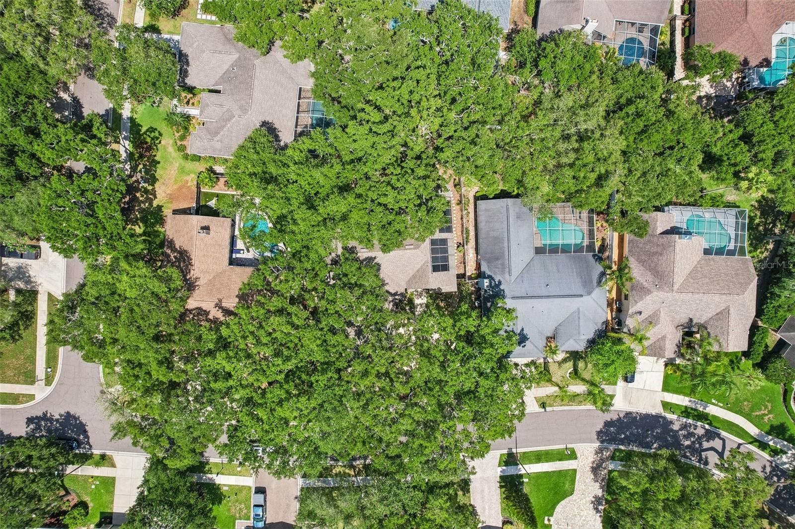 1706 COUNTRY TRAILS DR, SAFETY HARBOR, FL, 34695