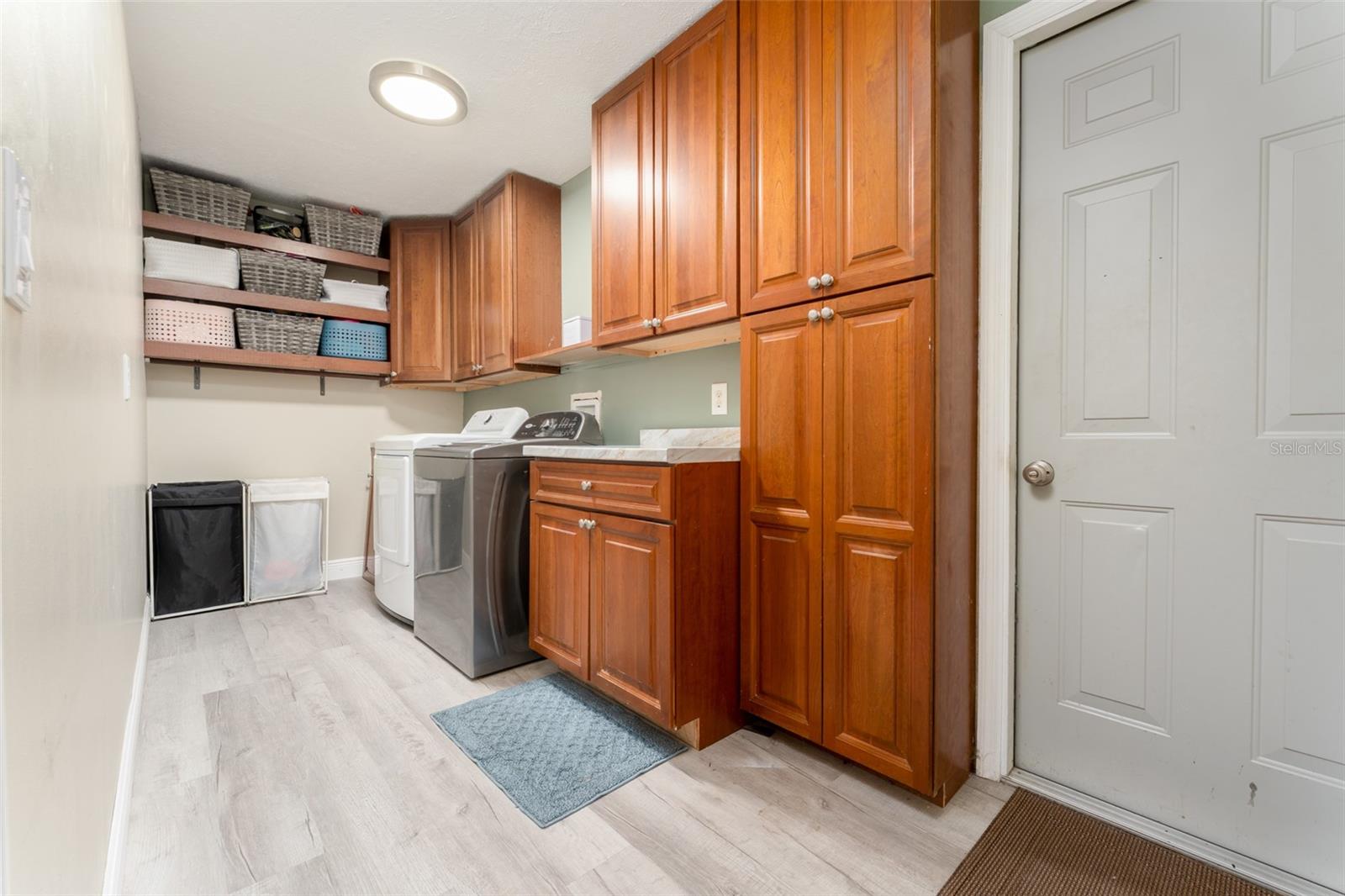 10817 PROVIDENCE OAKS DR, RIVERVIEW, FL, 33578