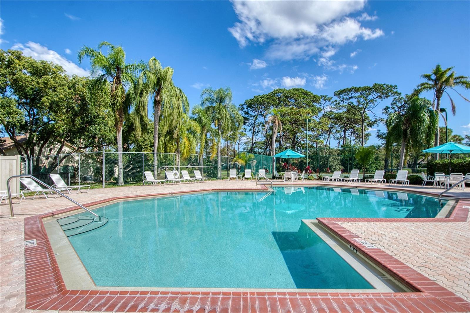 2478 BENTLEY DR, PALM HARBOR, FL, 34684