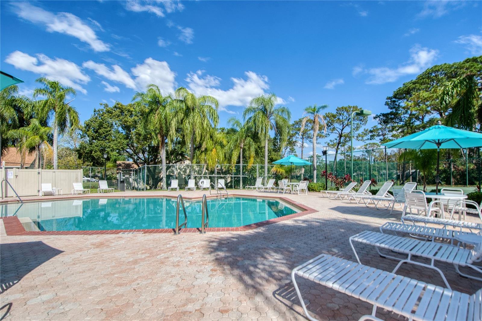 2478 BENTLEY DR, PALM HARBOR, FL, 34684