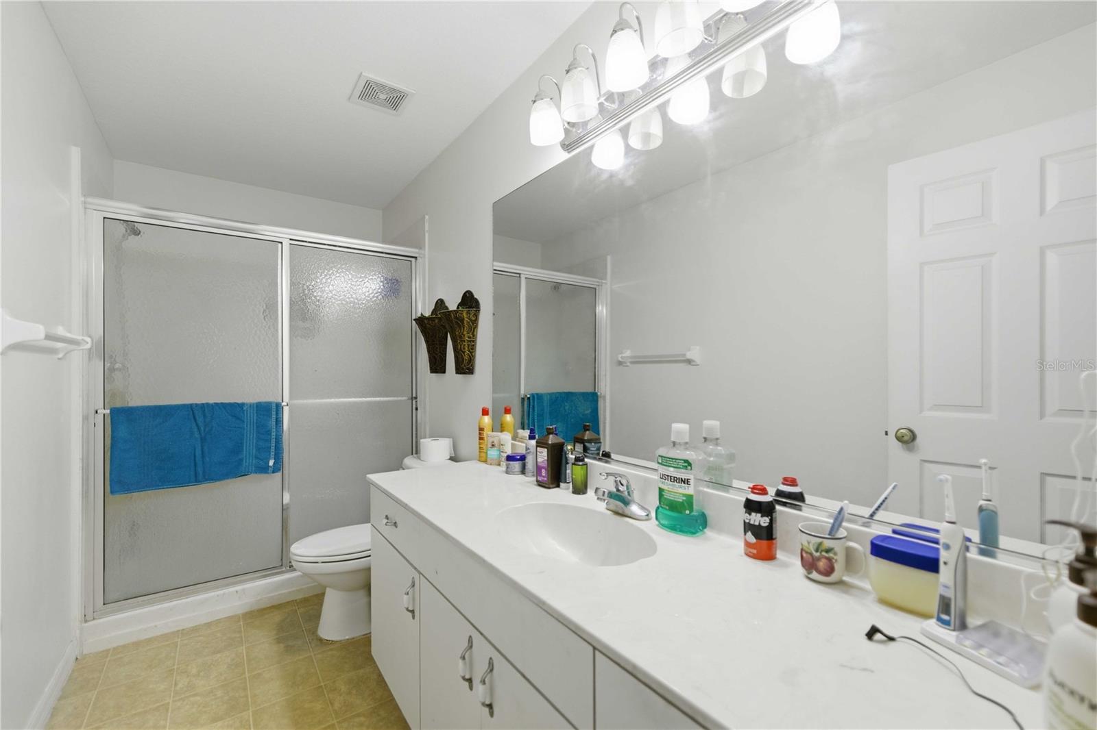 3959 SW 129TH ST, OCALA, FL, 34473