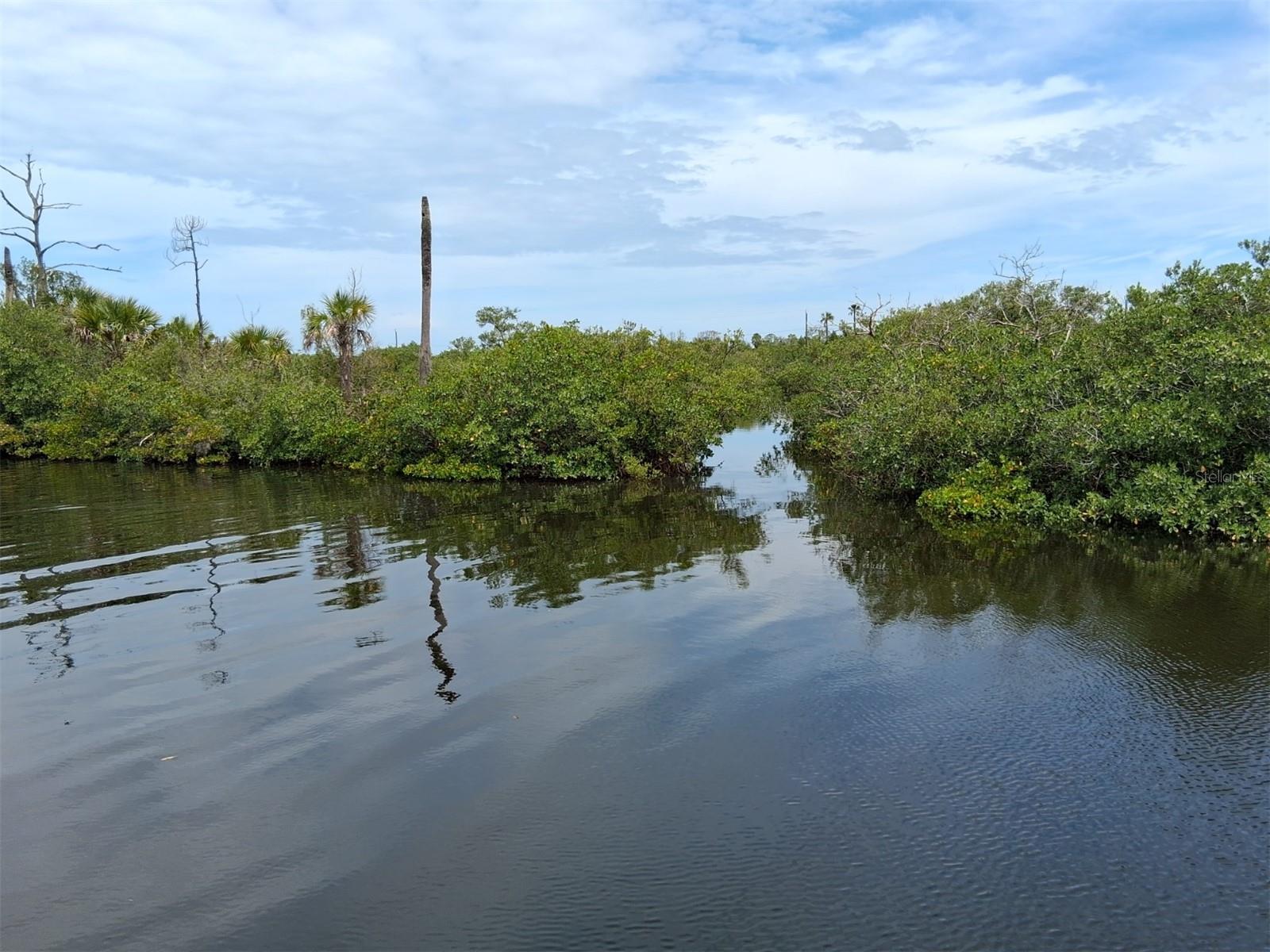 8720 BETTY ST, PORT RICHEY, FL, 34668