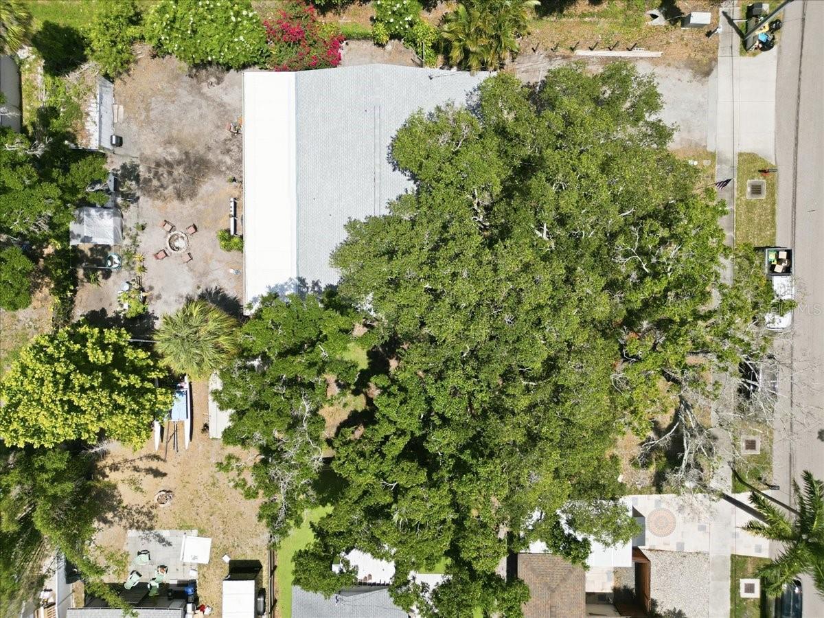 6031 71ST AVE N, PINELLAS PARK, FL, 33781