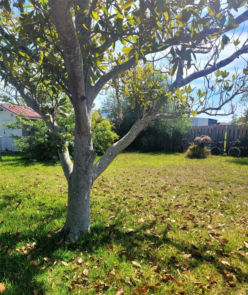 4011 CENTAVO CT, HERNANDO BEACH, FL, 34607