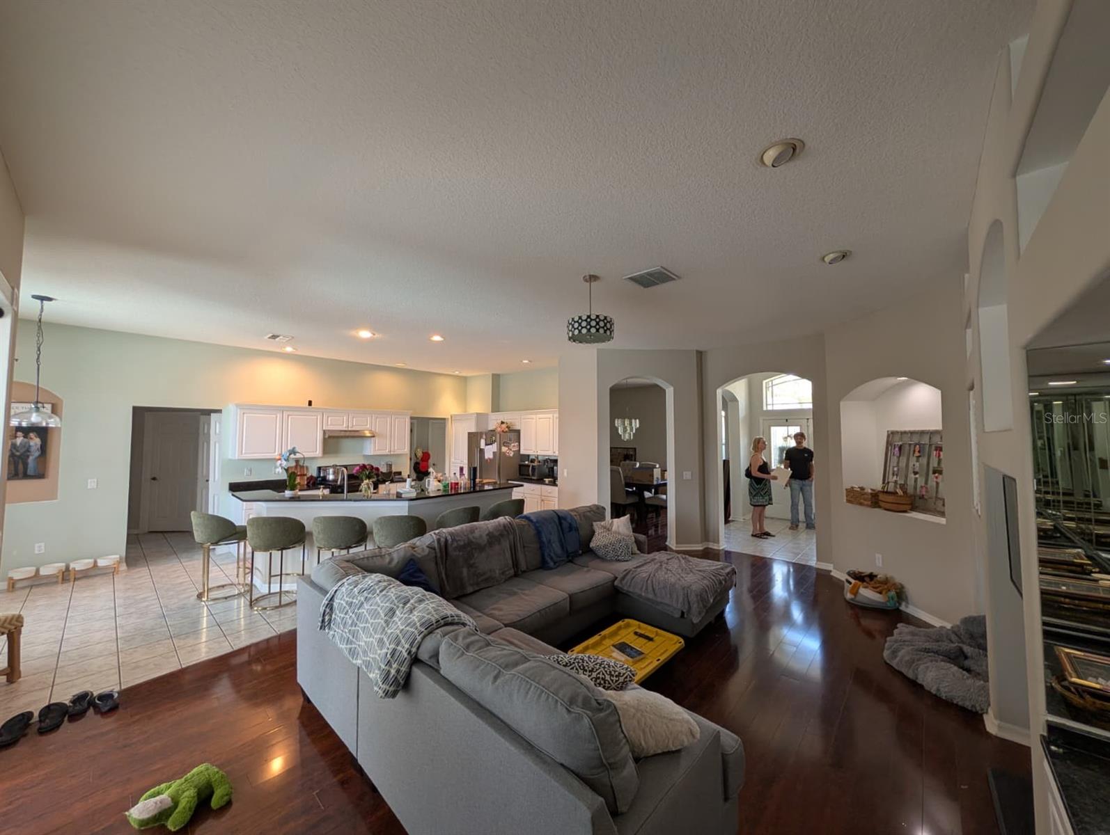 4512 RIVER OVERLOOK DR, VALRICO, FL, 33596