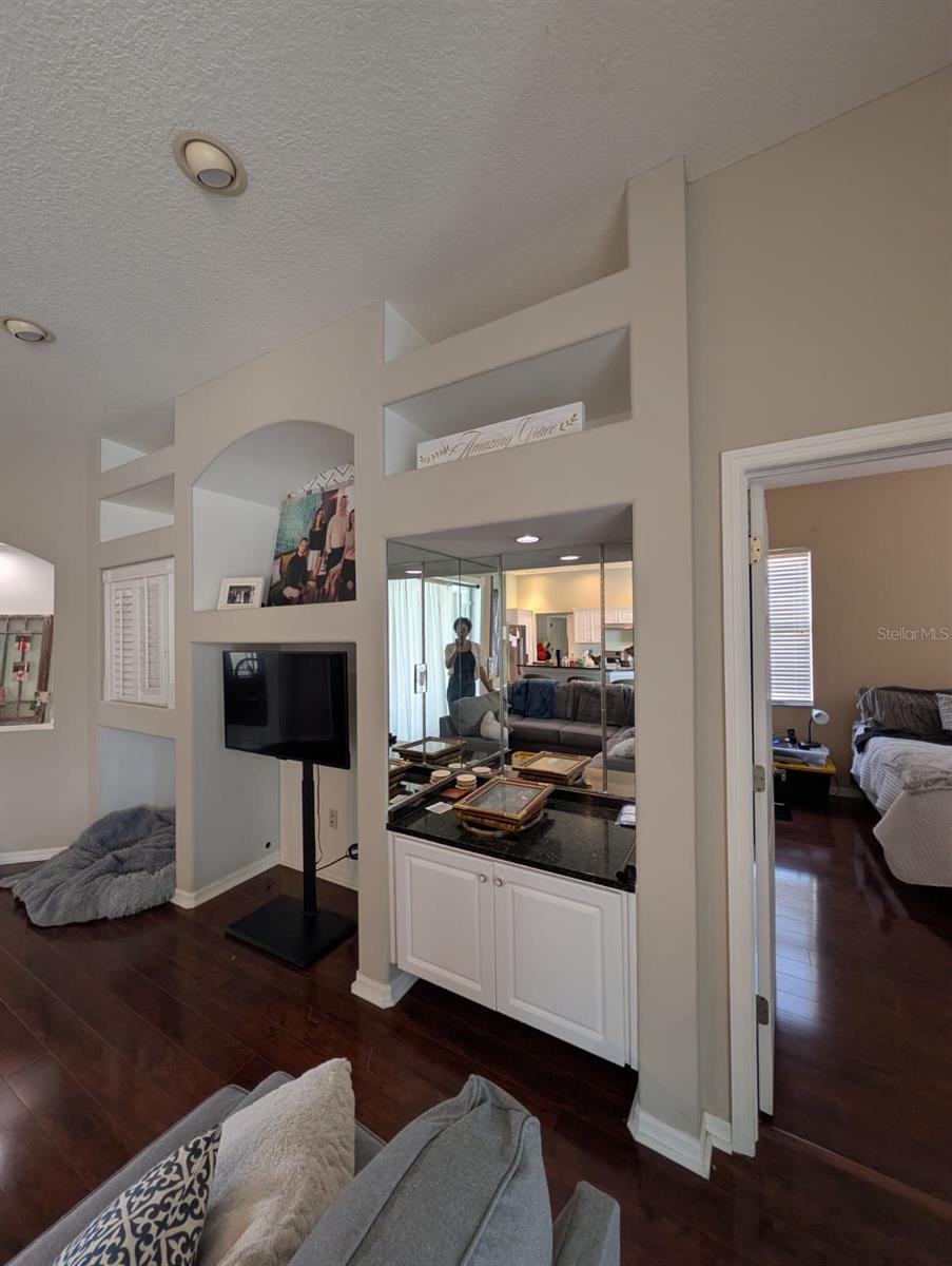 4512 RIVER OVERLOOK DR, VALRICO, FL, 33596