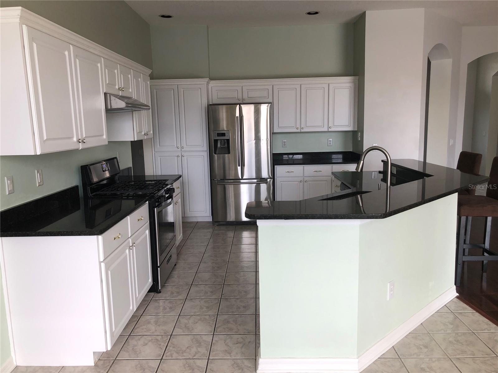 4512 RIVER OVERLOOK DR, VALRICO, FL, 33596