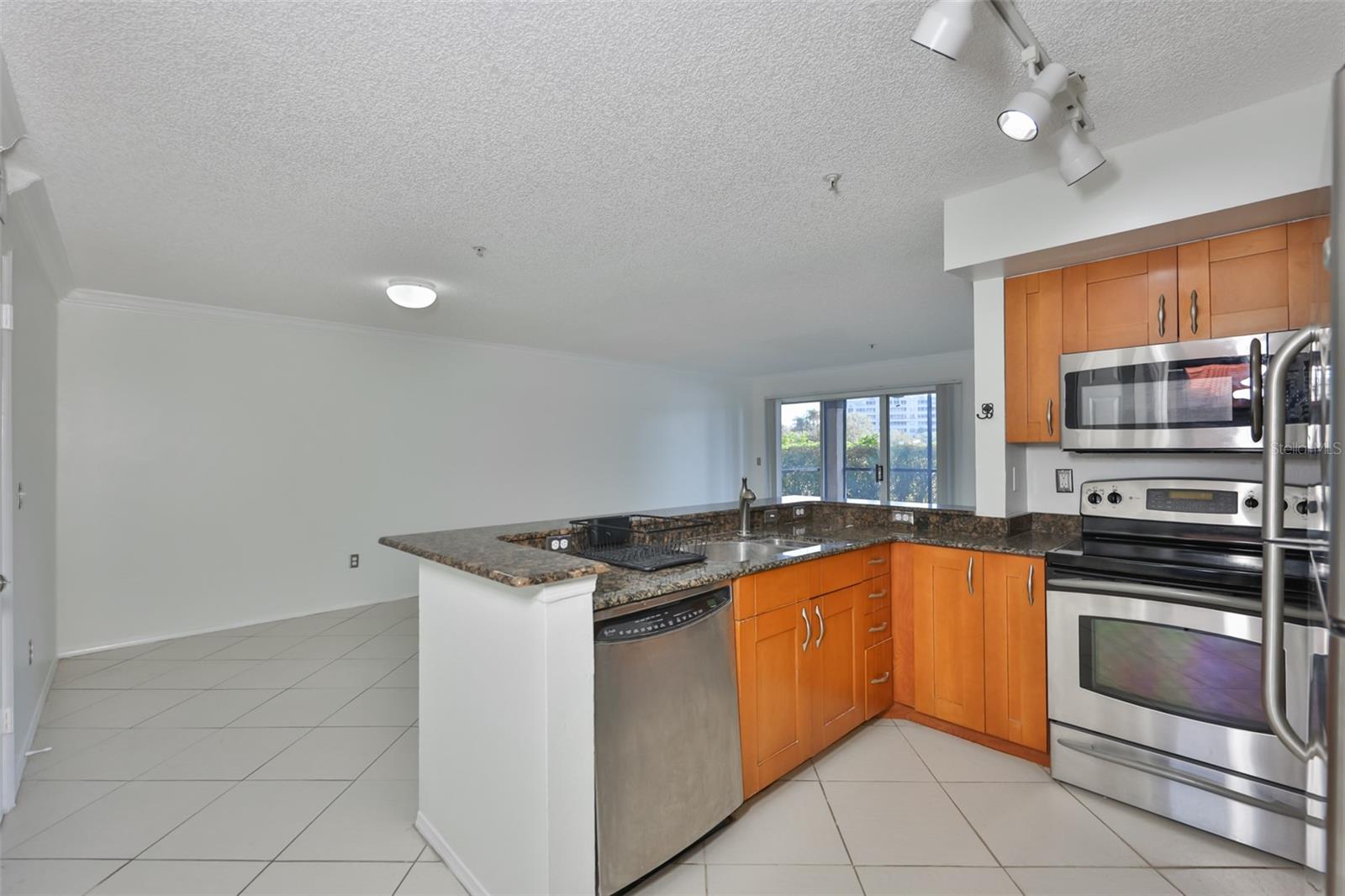 2400 FEATHER SOUND DR #1412, CLEARWATER, FL, 33762