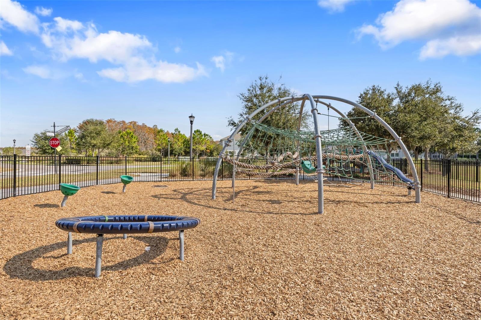 14831 TRAILS EDGE BLVD, ODESSA, FL, 33556