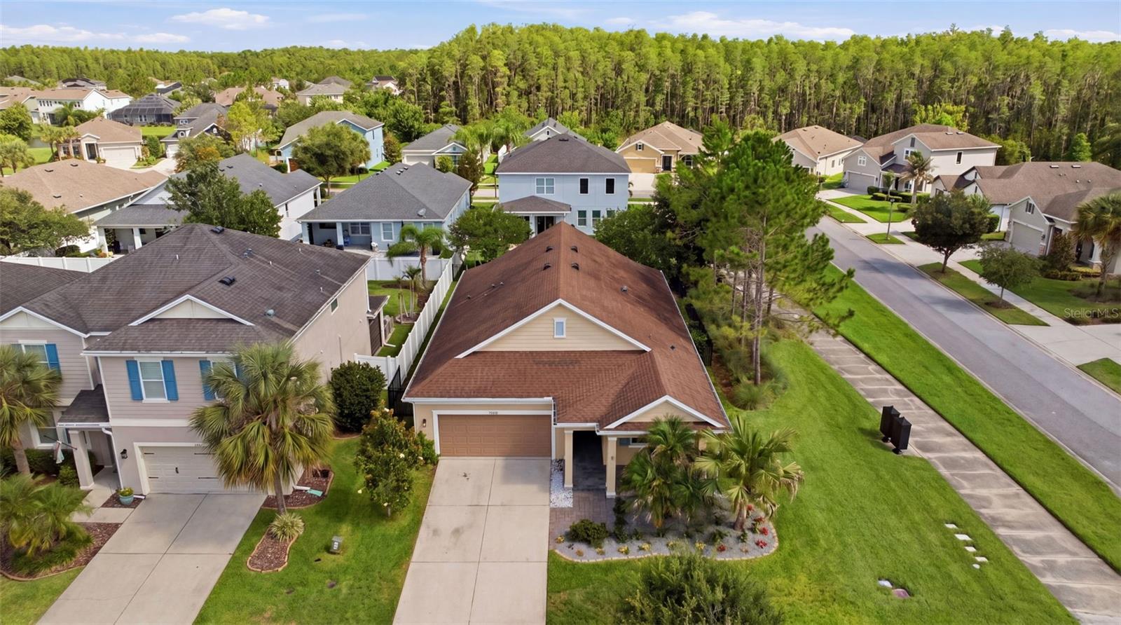 14831 TRAILS EDGE BLVD, ODESSA, FL, 33556