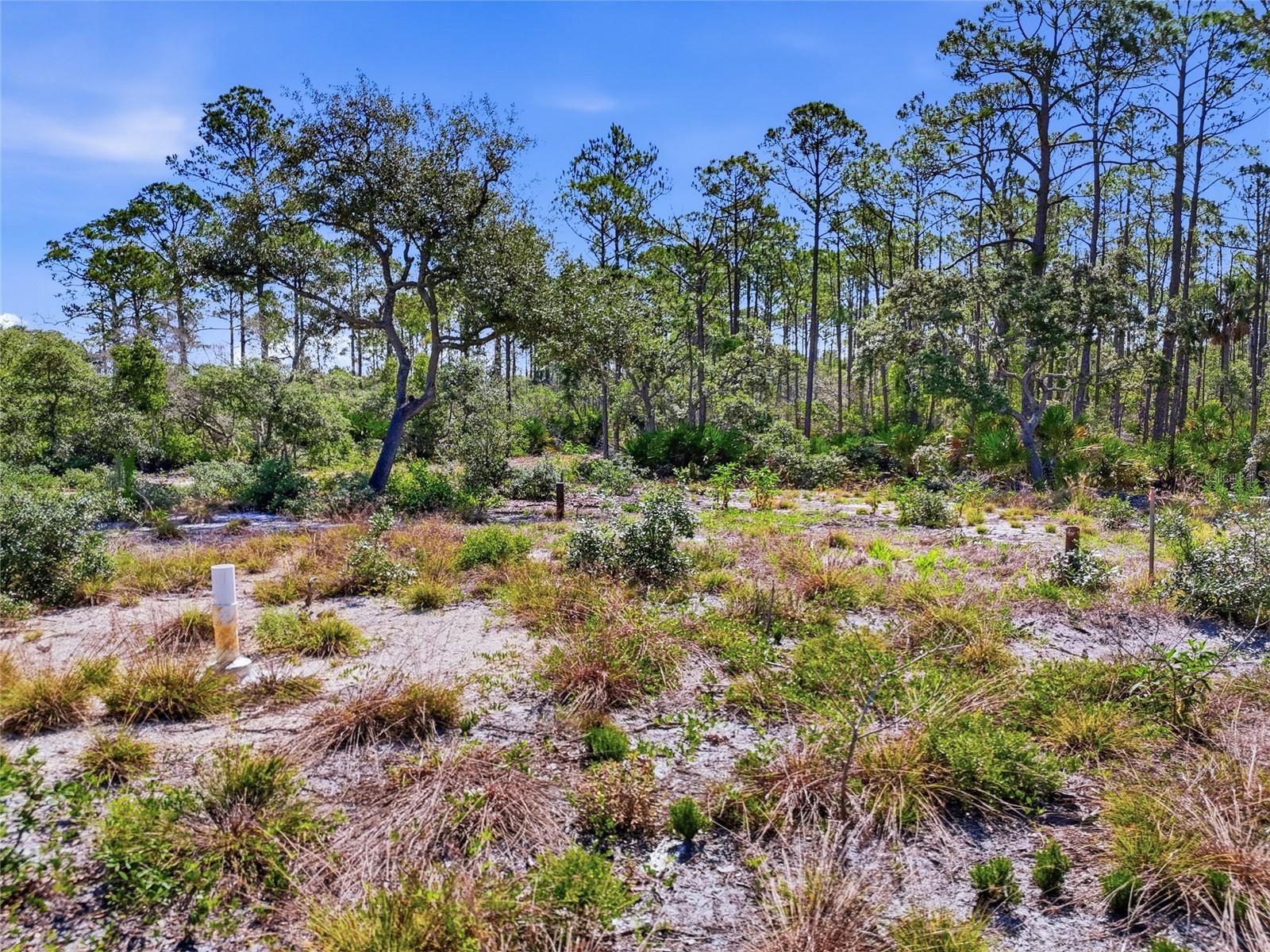 TBD STATE ROAD 24, CEDAR KEY, FL, 32625