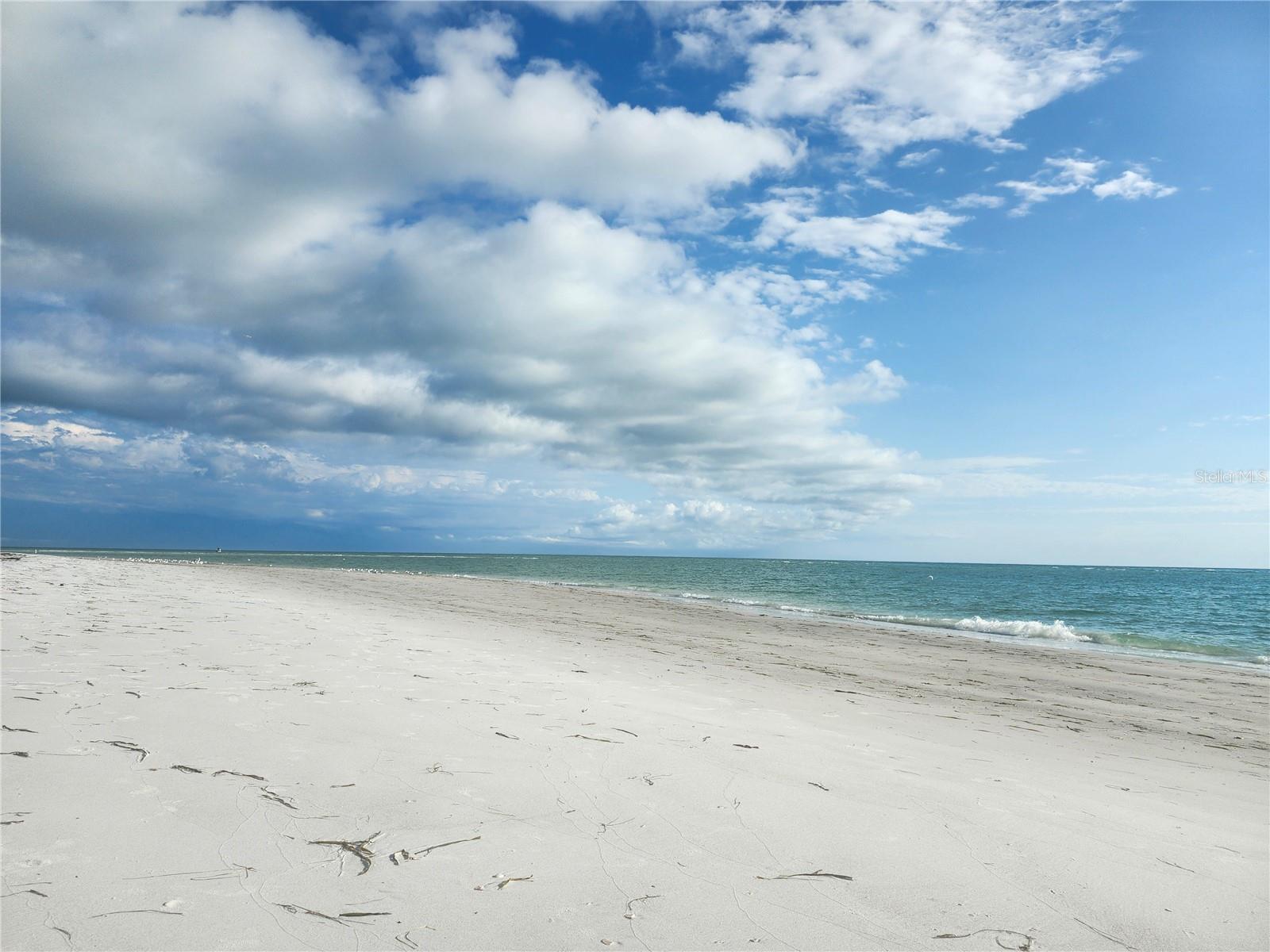 3973 LAKE BAYSHORE DR #503, BRADENTON, FL, 34205