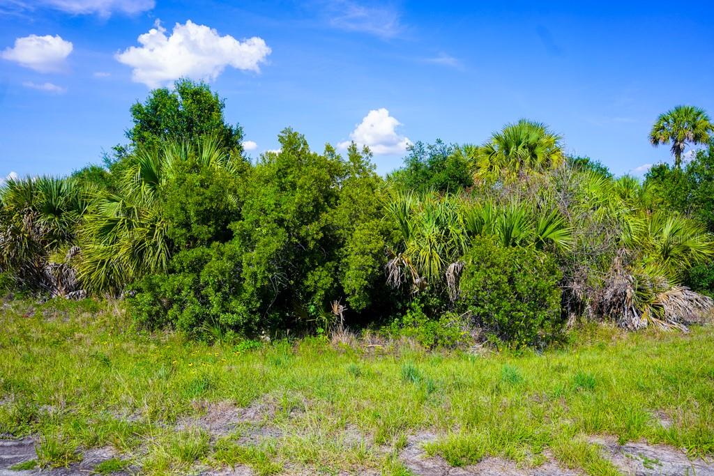 FIREBIRD RD, NORTH PORT, FL, 34288