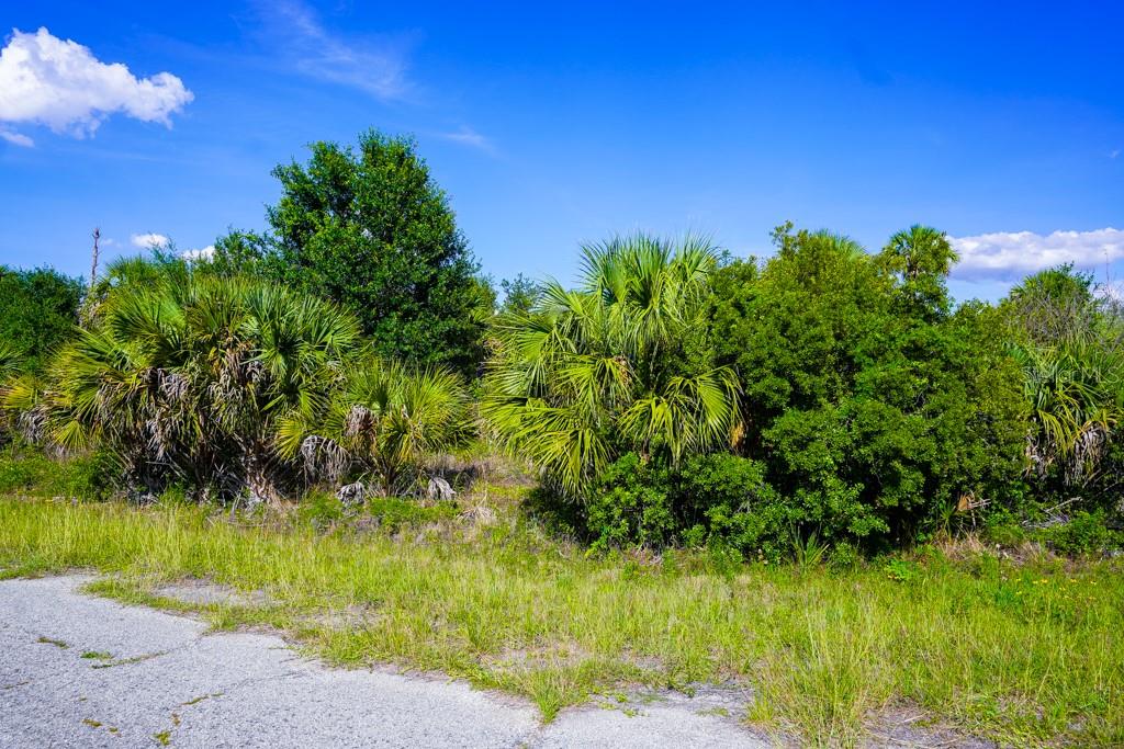 FIREBIRD RD, NORTH PORT, FL, 34288