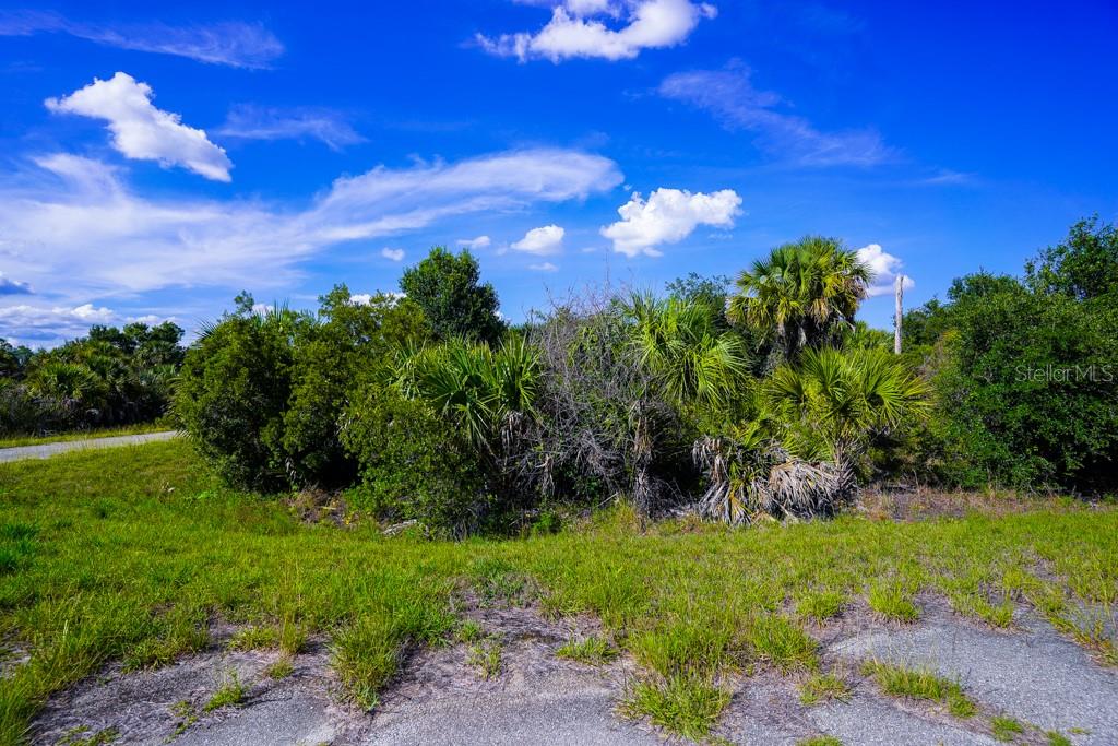 FIREBIRD RD, NORTH PORT, FL, 34288
