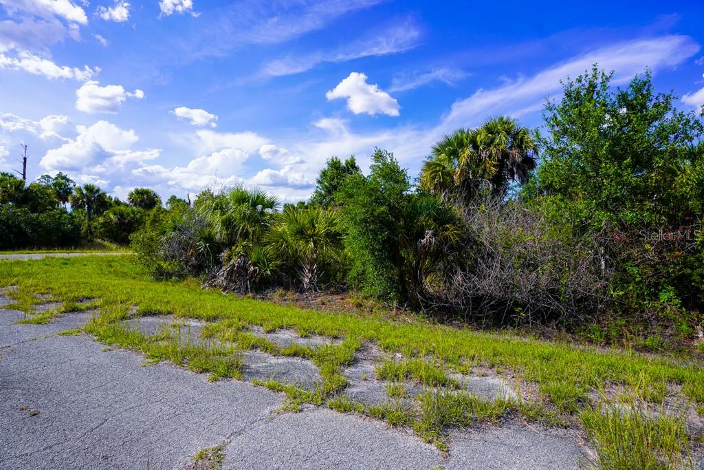 FIREBIRD RD, NORTH PORT, FL, 34288