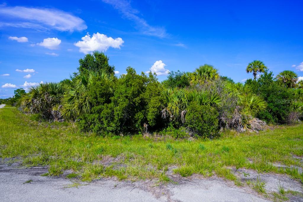 FIREBIRD RD, NORTH PORT, FL, 34288