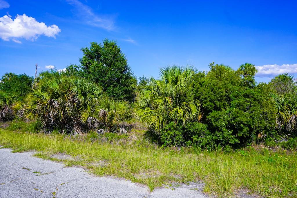 FIREBIRD RD, NORTH PORT, FL, 34288
