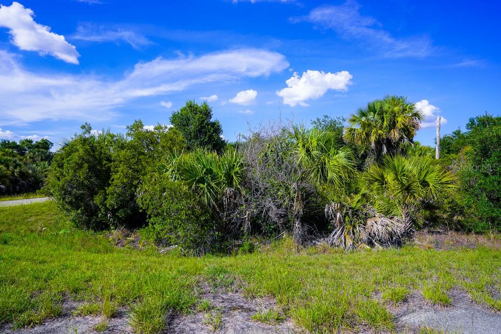 FIREBIRD RD, NORTH PORT, FL, 34288