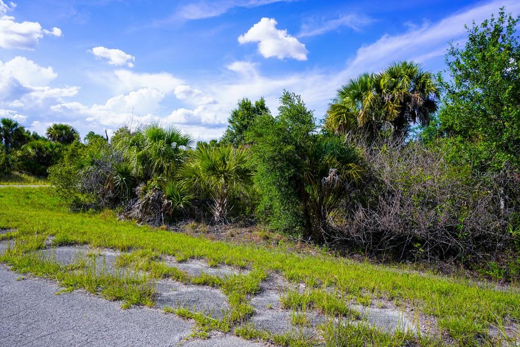 FIREBIRD RD, NORTH PORT, FL, 34288