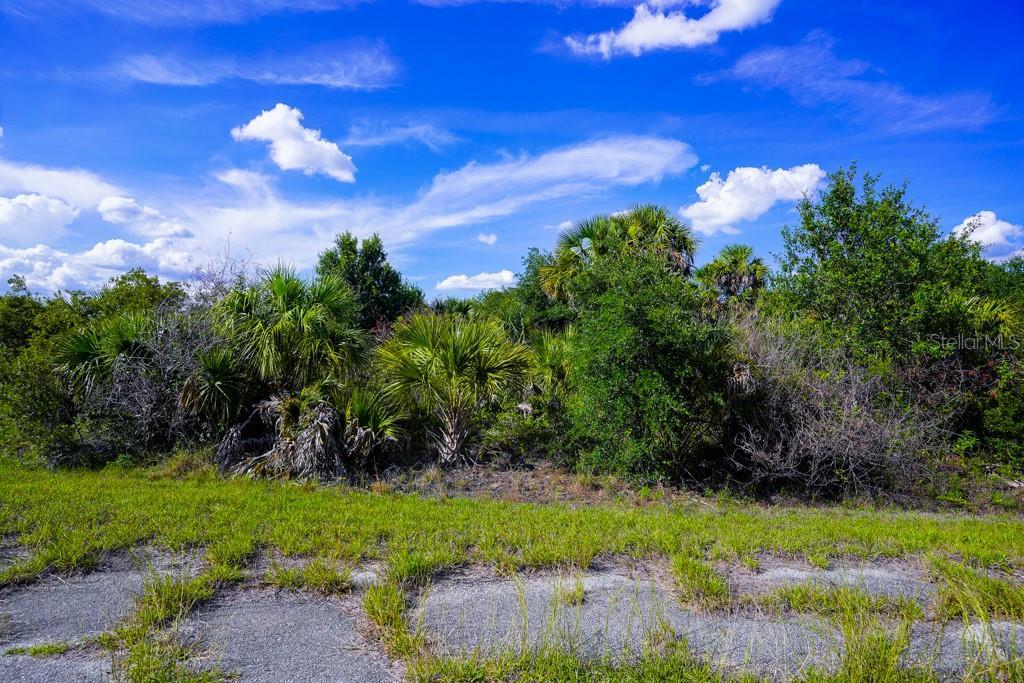 FIREBIRD RD, NORTH PORT, FL, 34288
