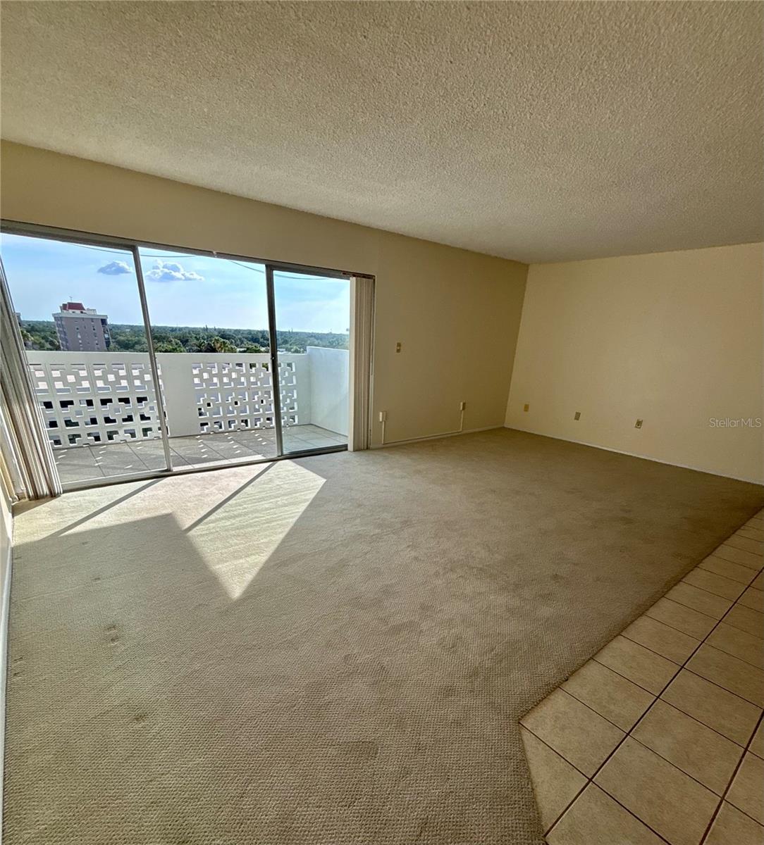 2401 BAYSHORE BLVD #903, TAMPA, FL, 33629