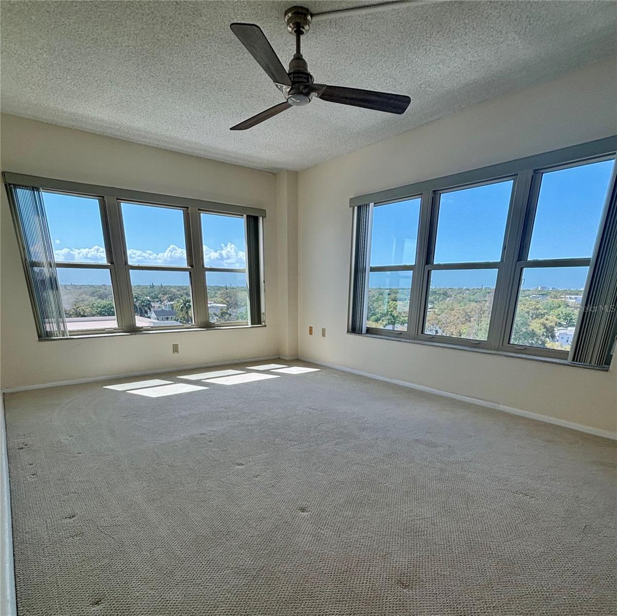 2401 BAYSHORE BLVD #903, TAMPA, FL, 33629