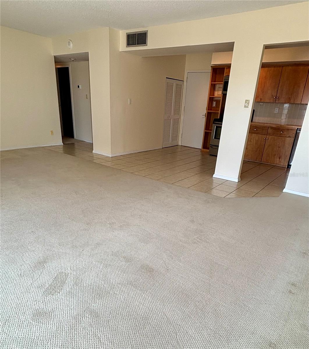 2401 BAYSHORE BLVD #903, TAMPA, FL, 33629